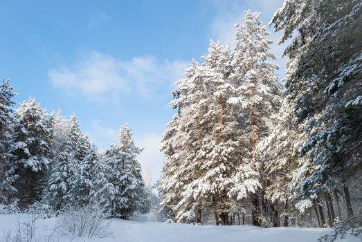 Zimná sezóna v Zásahu: čo sa mení od novembra